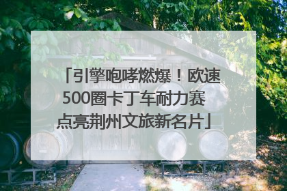 引擎咆哮燃爆！欧速500圈卡丁车耐力赛点亮荆州文旅新名片