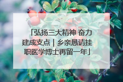 弘扬三大精神 奋力建成支点｜乡亲恳请挂职医学博士再留一年