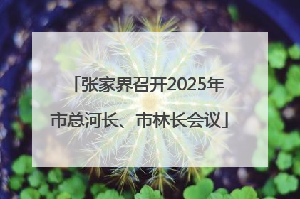 张家界召开2025年市总河长、市林长会议