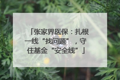 张家界医保：扎根一线“找问题”，守住基金“安全线”