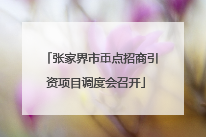 张家界市重点招商引资项目调度会召开