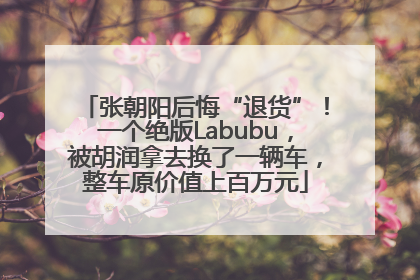 张朝阳后悔“退货”！一个绝版Labubu，被胡润拿去换了一辆车，整车原价值上百万元