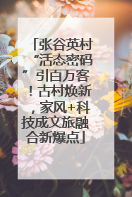张谷英村“活态密码”引百万客！古村焕新，家风+科技成文旅融合新爆点