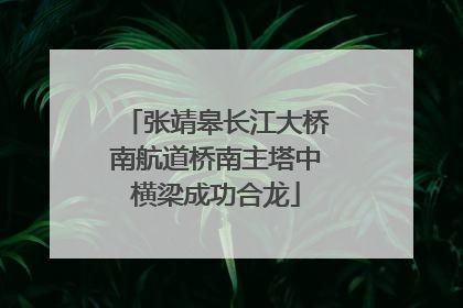 张靖皋长江大桥南航道桥南主塔中横梁成功合龙