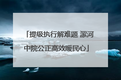 提级执行解难题 漯河中院公正高效暖民心