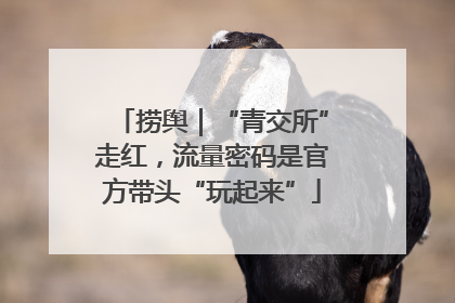 捞舆｜“青交所”走红，流量密码是官方带头“玩起来”