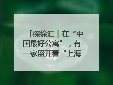 探徐汇｜在“中国最好公寓”，有一家盛开着“上海玫瑰”的书店