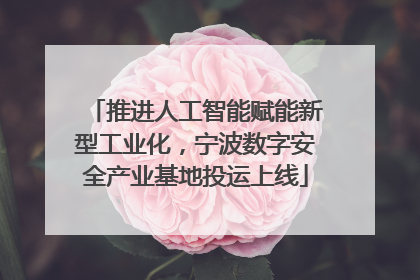 推进人工智能赋能新型工业化，宁波数字安全产业基地投运上线