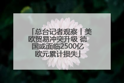 总台记者观察丨美欧贸易冲突升级 德国或面临2500亿欧元累计损失