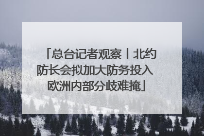 总台记者观察丨北约防长会拟加大防务投入 欧洲内部分歧难掩