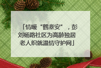 情暖“鹤耋安”，彭刘杨路社区为高龄独居老人织就温情守护网