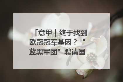 意甲｜终于找到欧冠冠军基因？“蓝黑军团”聘请国米名宿齐沃执教