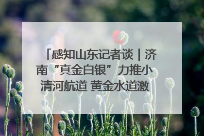 感知山东记者谈｜济南“真金白银”力推小清河航道 黄金水道激活区域经济新动能
