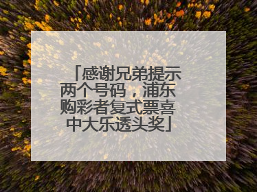 感谢兄弟提示两个号码，浦东购彩者复式票喜中大乐透头奖