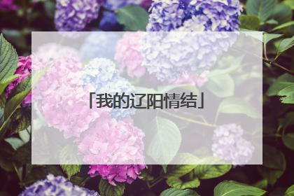 我的辽阳情结