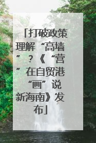 打破政策理解“高墙”？《“营”在自贸港 “画”说新海南》发布