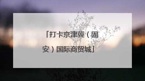 打卡京津冀（固安）国际商贸城