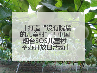 打造“没有院墙的儿童村”！中国烟台SOS儿童村举办开放日活动