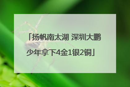 扬帆南太湖 深圳大鹏少年拿下4金1银2铜