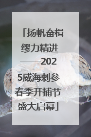 扬帆奋楫 缪力精进——2025威海刺参春季开捕节盛大启幕