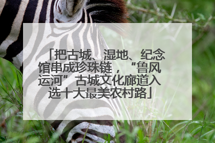 把古城、湿地、纪念馆串成珍珠链，“鲁风运河”古城文化廊道入选十大最美农村路