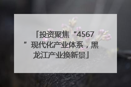 投资聚焦“4567”现代化产业体系，黑龙江产业换新景