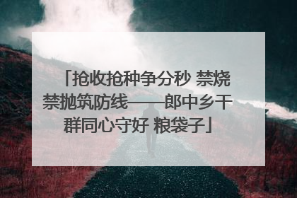 抢收抢种争分秒 禁烧禁抛筑防线——郎中乡干群同心守好 粮袋子