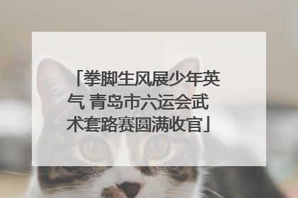 拳脚生风展少年英气 青岛市六运会武术套路赛圆满收官