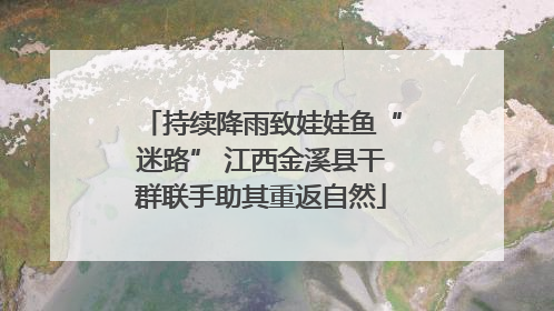 持续降雨致娃娃鱼“迷路” 江西金溪县干群联手助其重返自然