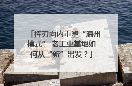 挥刃向内重塑“温州模式” 老工业基地如何从“新”出发？