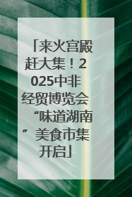 来火宫殿赶大集！2025中非经贸博览会“味道湖南”美食市集开启