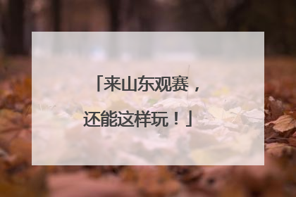 来山东观赛，还能这样玩！