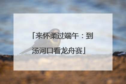 来怀柔过端午：到汤河口看龙舟赛