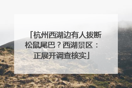 杭州西湖边有人拔断松鼠尾巴？西湖景区：正展开调查核实