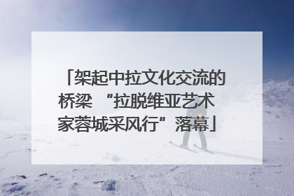 架起中拉文化交流的桥梁 “拉脱维亚艺术家蓉城采风行”落幕