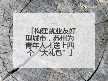 构建就业友好型城市，苏州为青年人才送上四个“大礼包”