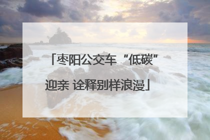 枣阳公交车“低碳”迎亲 诠释别样浪漫