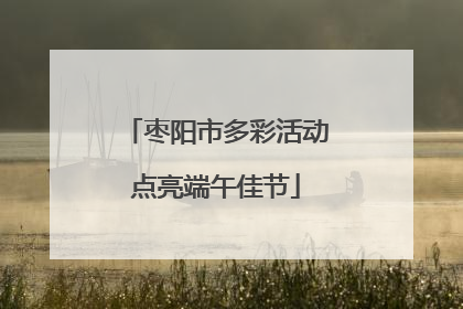 枣阳市多彩活动点亮端午佳节