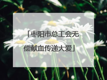 枣阳市总工会无偿献血传递大爱