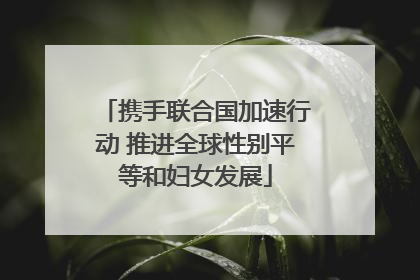 携手联合国加速行动 推进全球性别平等和妇女发展