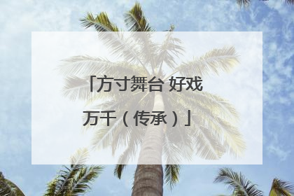 方寸舞台 好戏万千（传承）