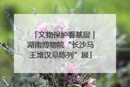 文物保护看基层｜湖南博物院“长沙马王堆汉墓陈列”展