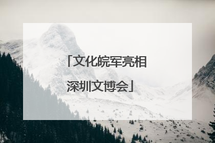 文化皖军亮相深圳文博会