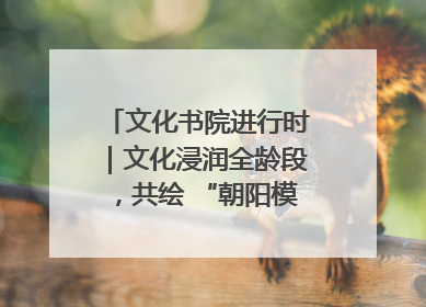 文化书院进行时｜文化浸润全龄段，共绘 “朝阳模式” 新图景！