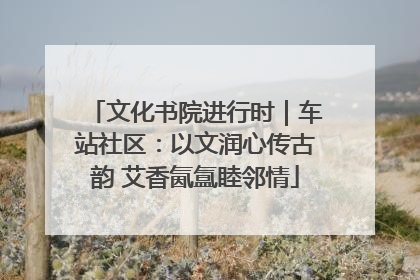 文化书院进行时｜车站社区：以文润心传古韵 艾香氤氲睦邻情