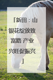 新田：山银花绽放致富路 产业兴旺促振兴