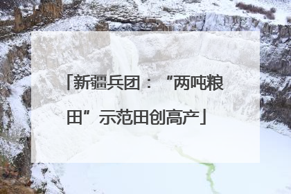 新疆兵团：“两吨粮田”示范田创高产
