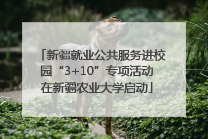 新疆就业公共服务进校园“3+10”专项活动在新疆农业大学启动