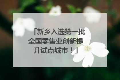 新乡入选第一批全国零售业创新提升试点城市！