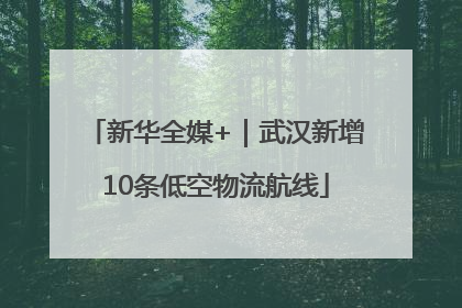 新华全媒+｜武汉新增10条低空物流航线